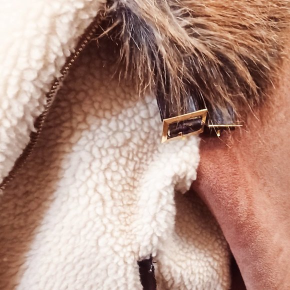 Forever 21 NWT Jacket Faux fur collar- soft cuddly, warm bomber style - Picture 3 of 9